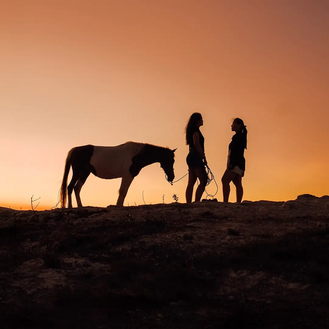 Spot wild horses roaming freely across golden landscapes.