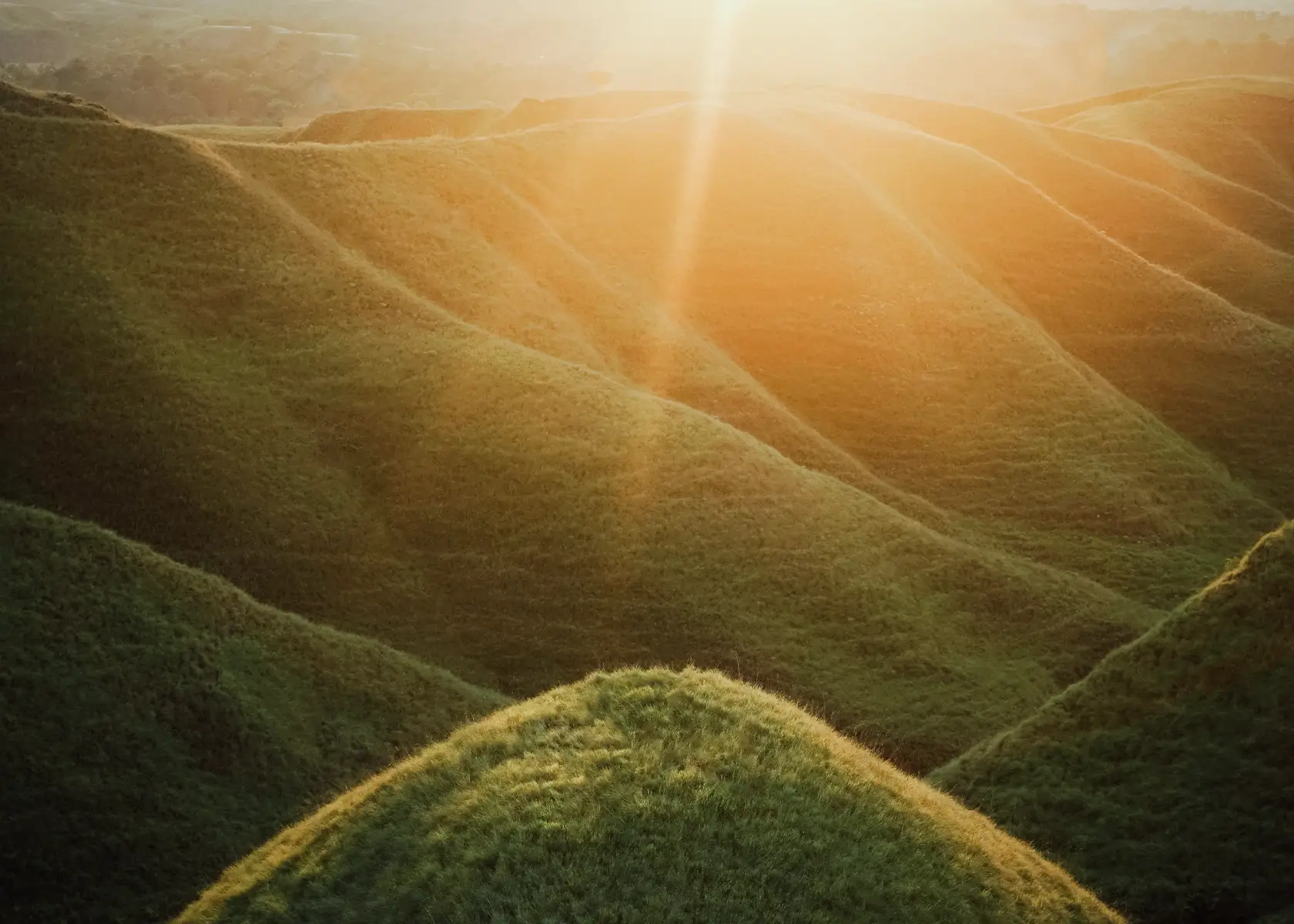 Journeying Into Tana Humba