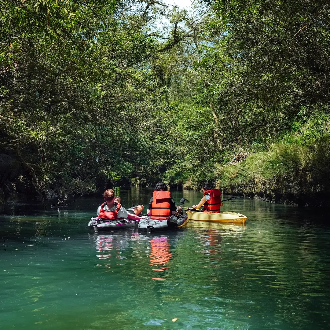 Kayak 6 km along a scenic river, just our group on the water.