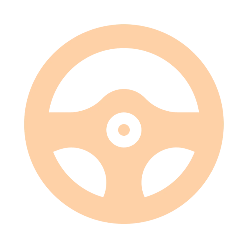 Land Transportation During the Trip 