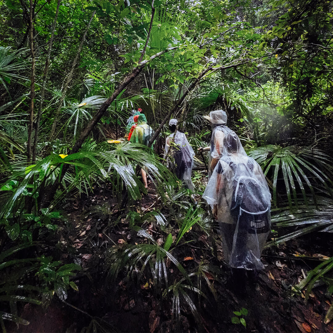 JUNGLE TREKKING ADVENTURE