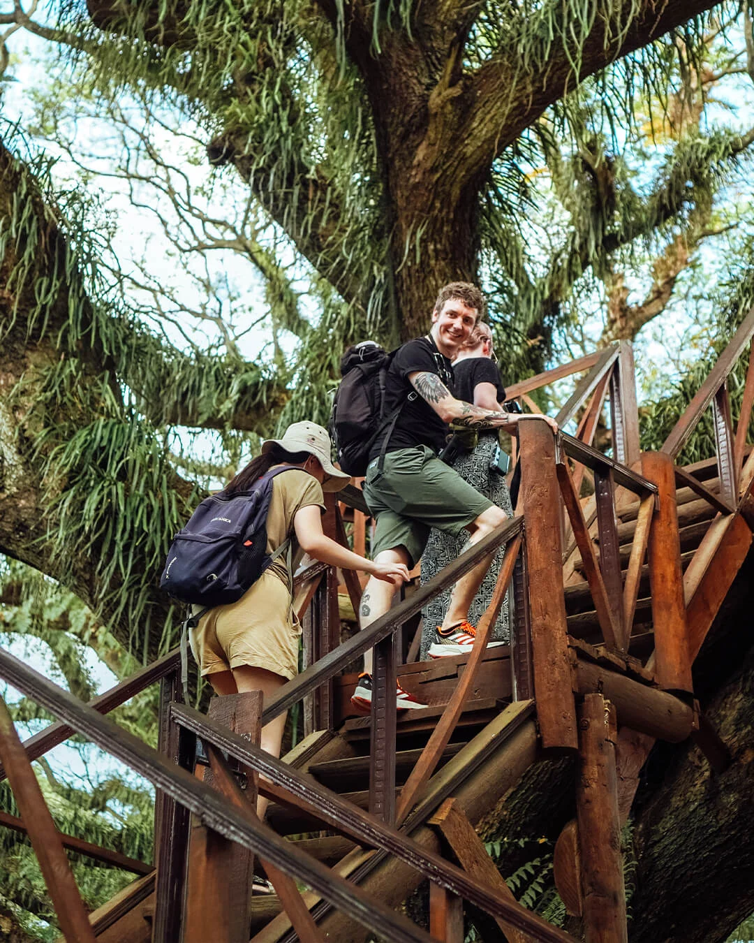 Beyond Horizon Trails