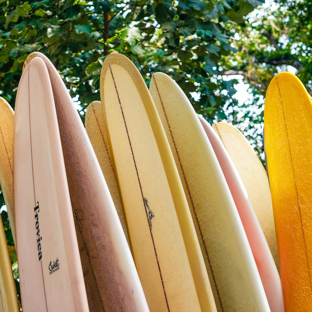 4 Hours Surf Lesson