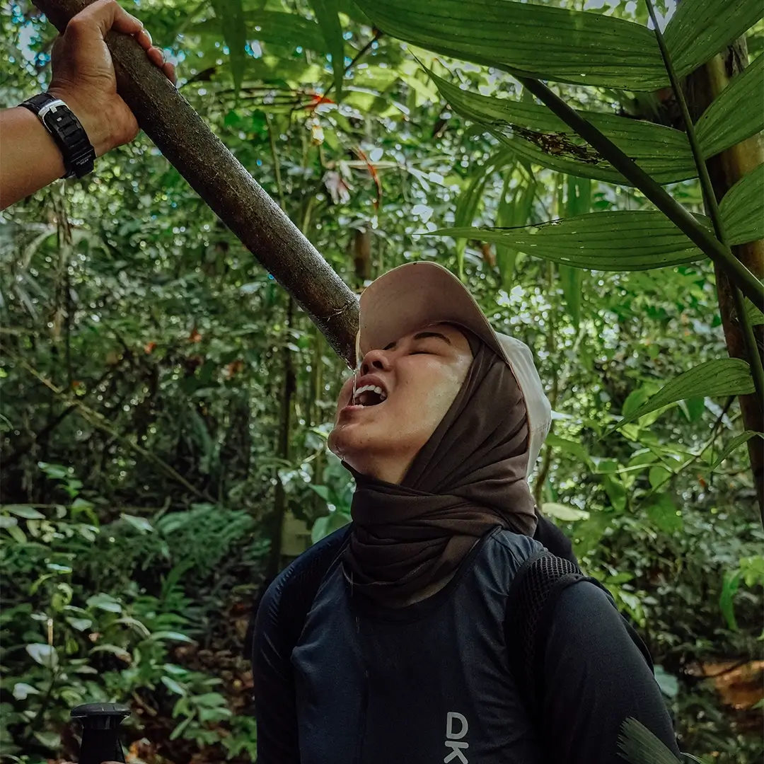 Identify invasive species and try safe-to-eat survival plants.