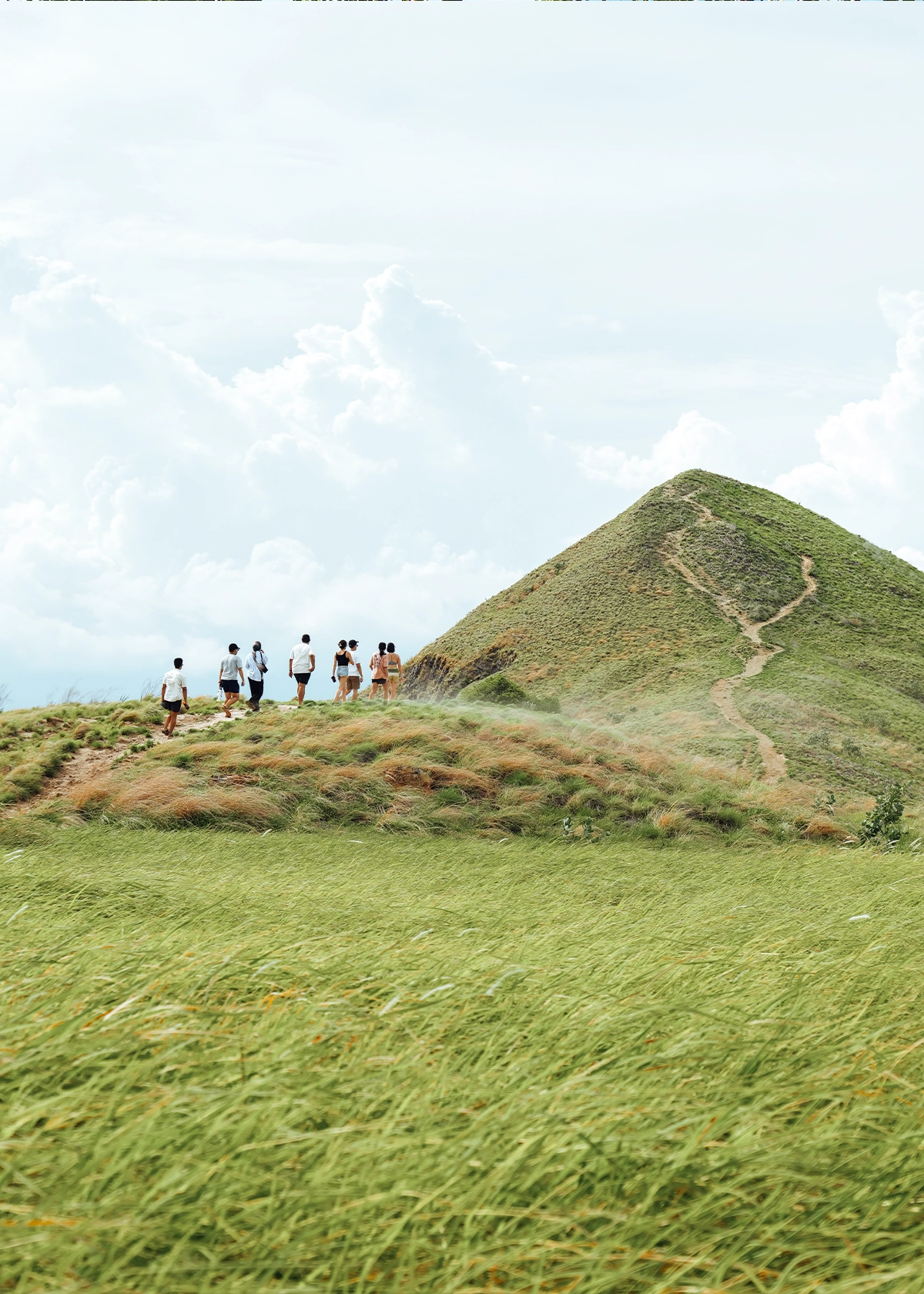 The Uncharted Trails