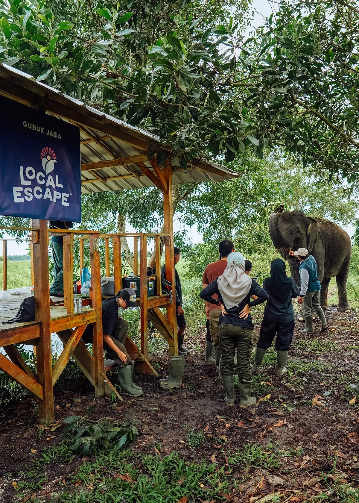 Enchanted Nature’s Sanctuary