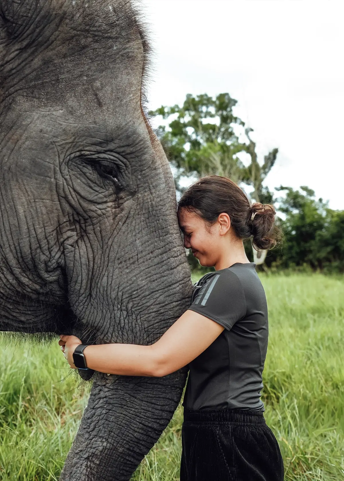Enchanted Nature’s Sanctuary