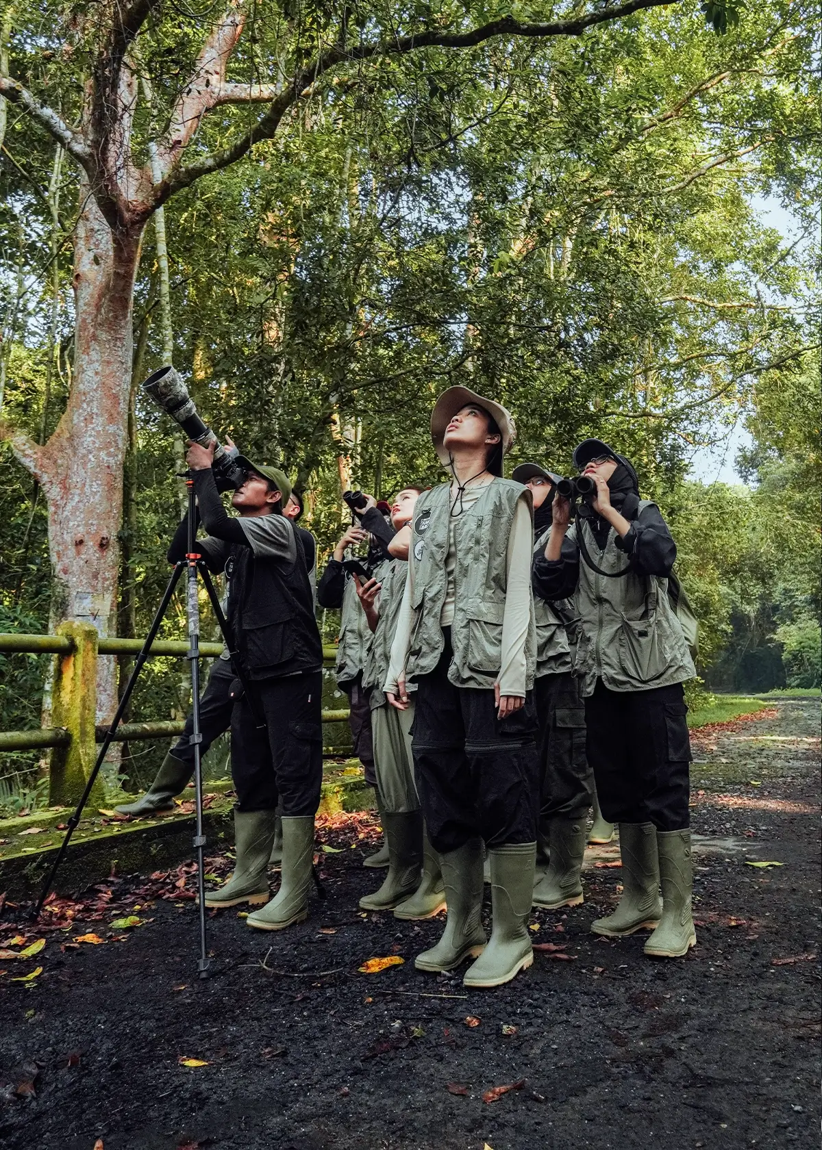 Enchanted Nature’s Sanctuary