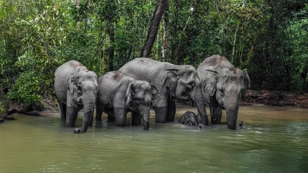 Sanctuary of Wonders