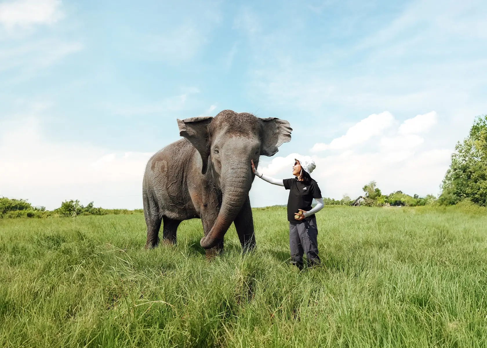Enchanted Nature’s Sanctuary