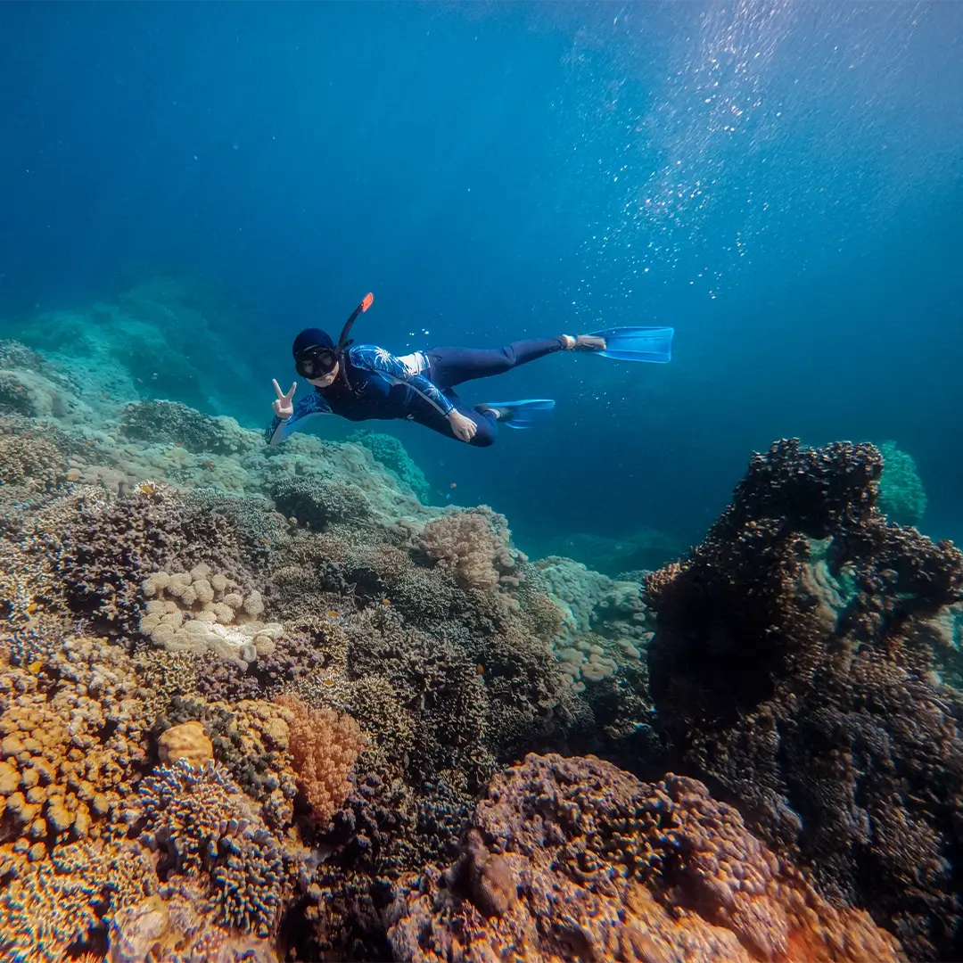 Snorkel in colorful coral waters.