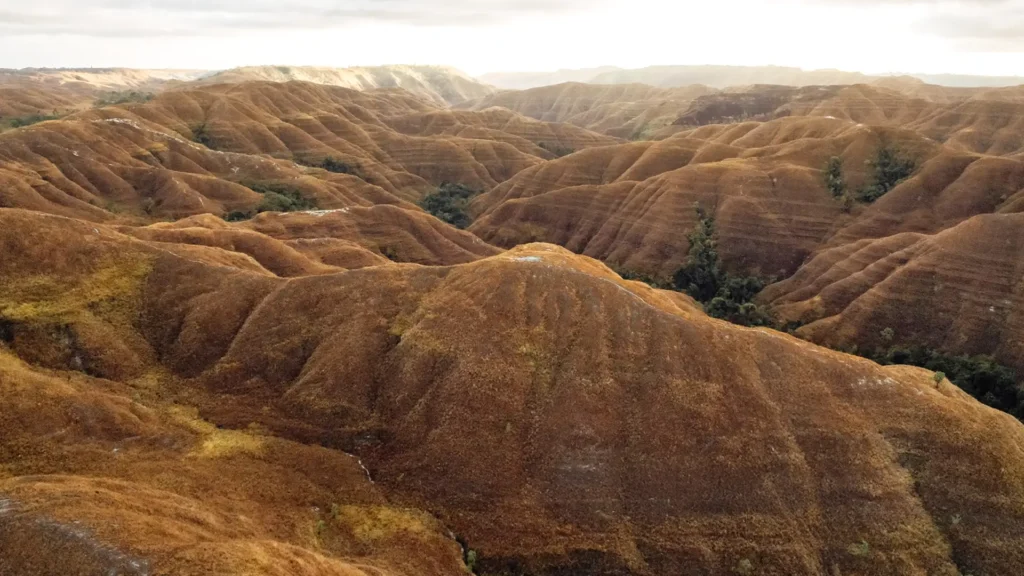 THE ETHEREAL JOURNEY